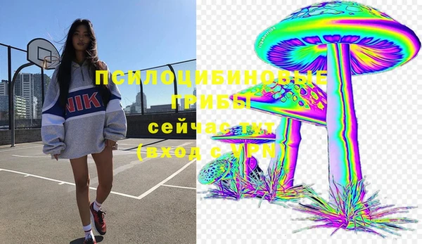 твердый Абаза