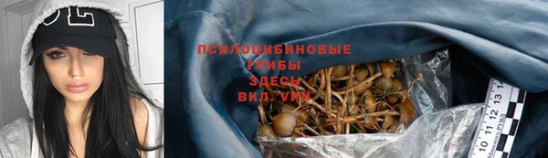 apvp Алзамай