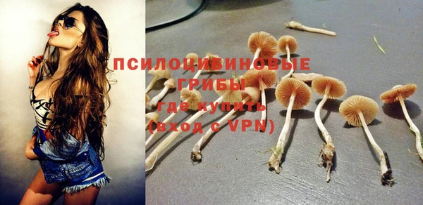 apvp Алзамай