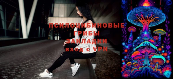 apvp Алзамай