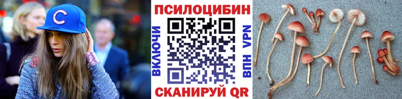Псилоцибиновые грибы прущие грибы Лысьва
