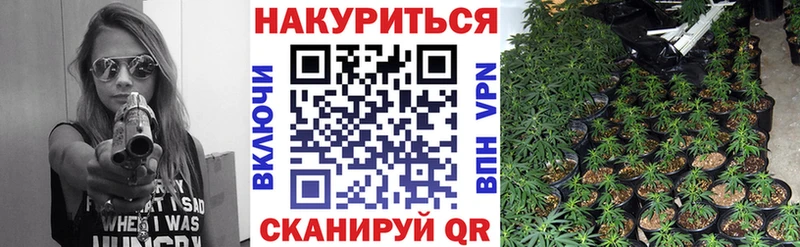 блэк спрут зеркало  Лысьва  Бошки Шишки семена 